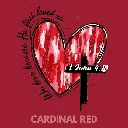 V06 - John 4_19 Cardinal_Blank.webp