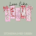 V12 - Love like Jesus StonewashedGreen_Blank.webp