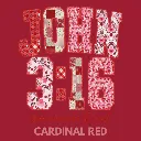 V25 - John 3.16 Quilted Cardinal_Blank.webp