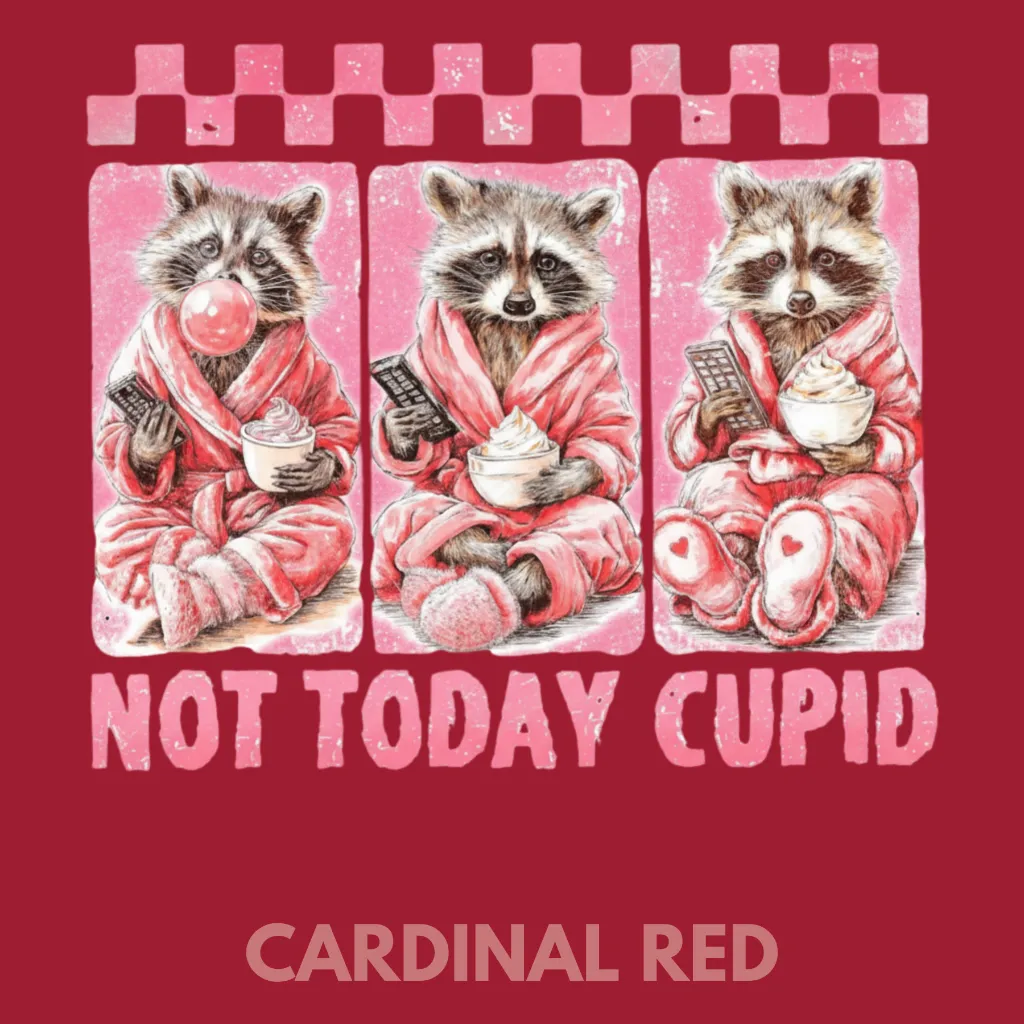 V26 - Not Today Cupid x3 Racoons Cardinal_Blank.webp