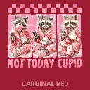 V26 - Not Today Cupid x3 Racoons Cardinal_Blank.webp