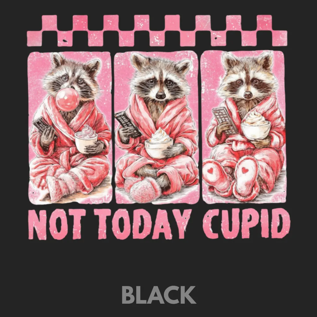 V26 - Not Today Cupid x3 Racoons Black_Blank.webp