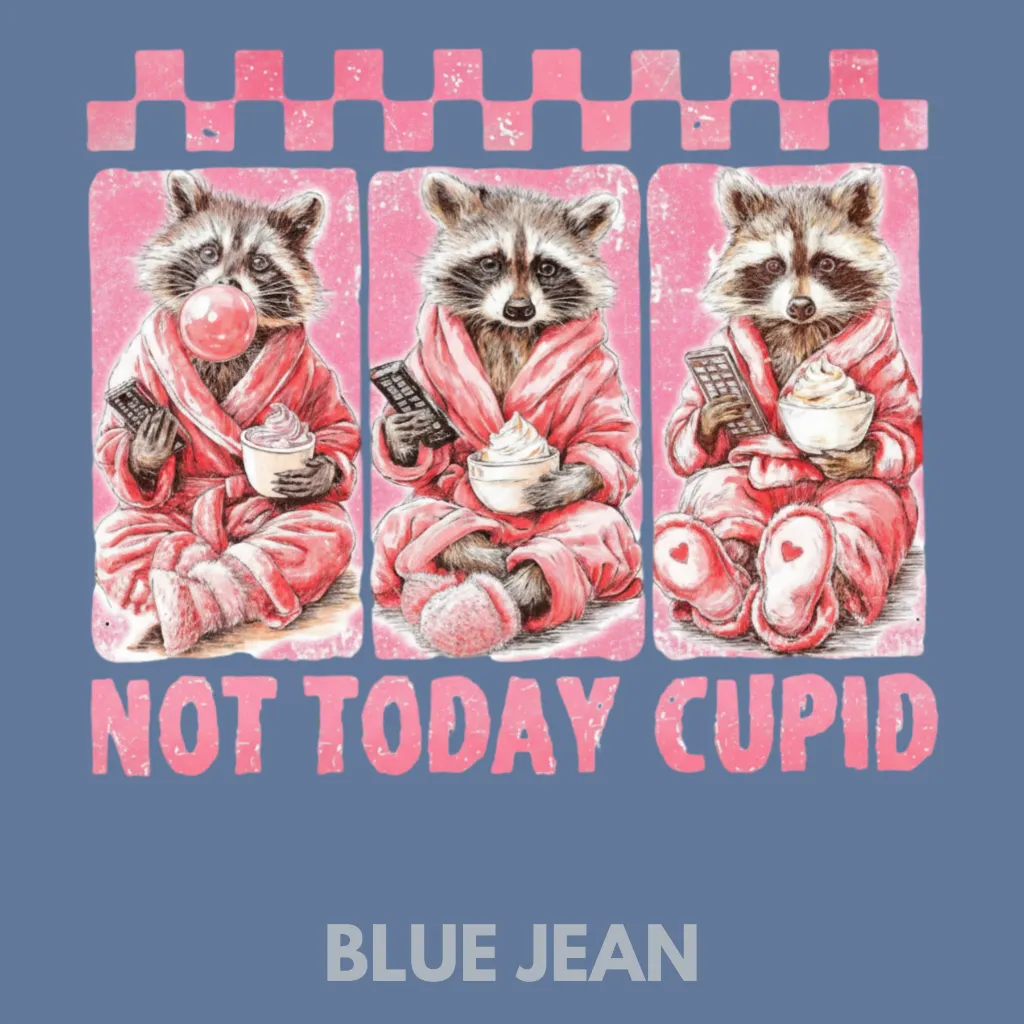 V26 - Not Today Cupid x3 Racoons BlueJean_Blank.webp