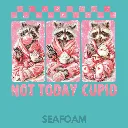 V26 - Not Today Cupid x3 Racoons Seafoam_Blank.webp