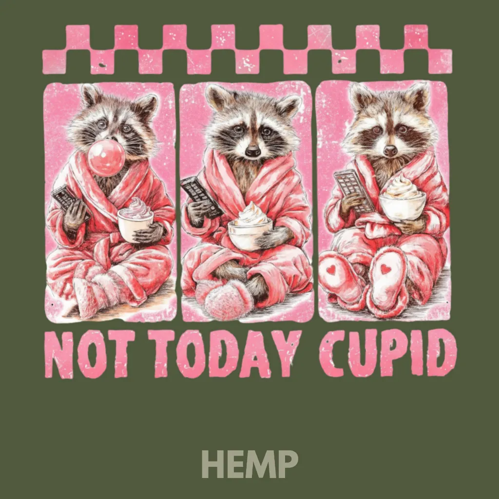 V26 - Not Today Cupid x3 Racoons Hemp_Blank.webp