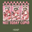 V26 - Not Today Cupid x3 Racoons Hemp_Blank.webp