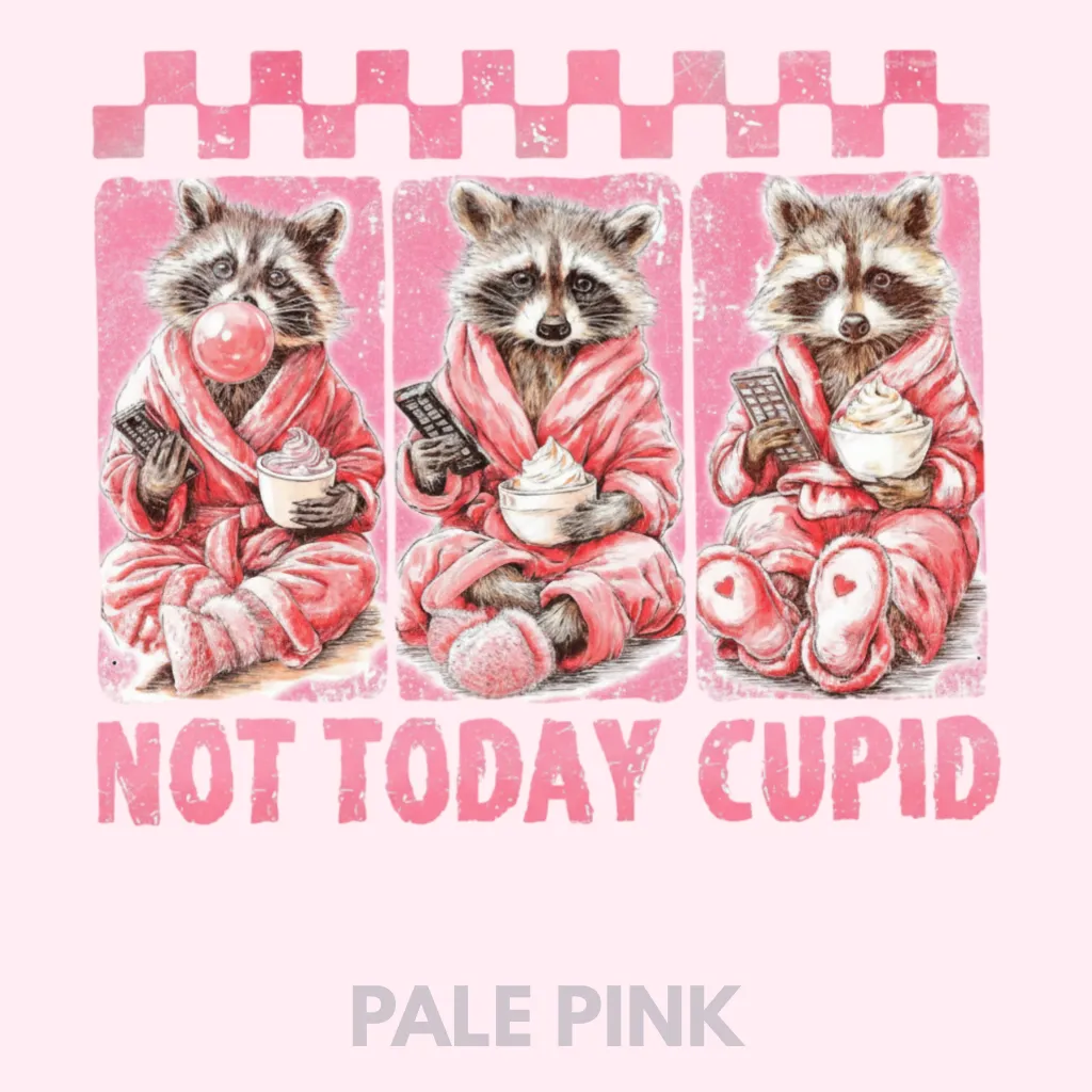 V26 - Not Today Cupid x3 Racoons PalePink_Blank.webp