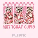 V26 - Not Today Cupid x3 Racoons PalePink_Blank.webp