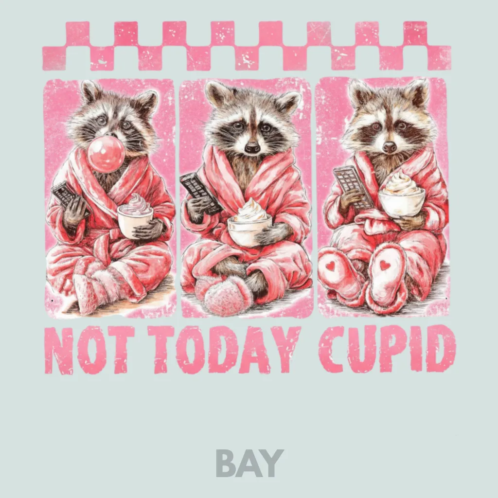 V26 - Not Today Cupid x3 Racoons Bay_Blank.webp