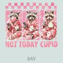 V26 - Not Today Cupid x3 Racoons Bay_Blank.webp