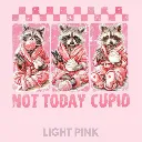 V26 - Not Today Cupid x3 Racoons LightPink_Blank.webp