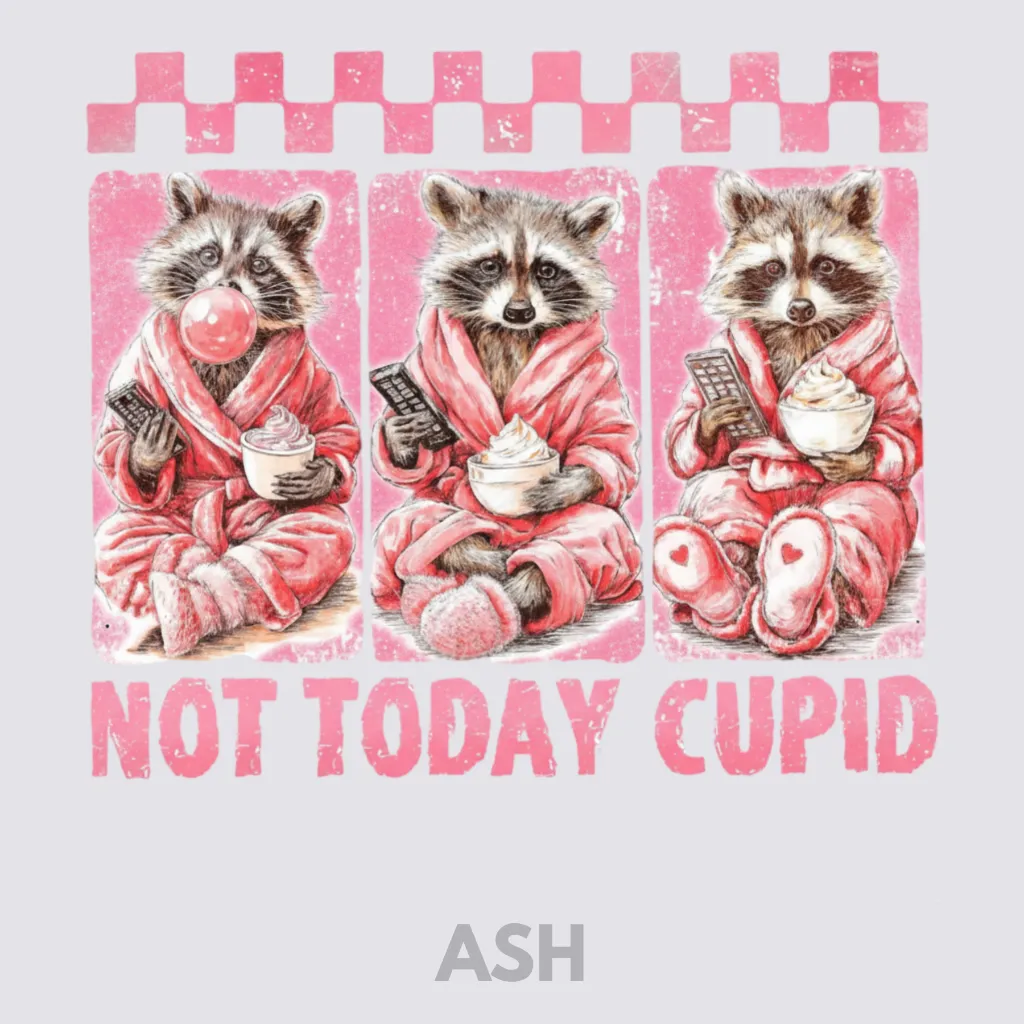 V26 - Not Today Cupid x3 Racoons Ash_Blank.webp
