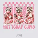 V26 - Not Today Cupid x3 Racoons Ash_Blank.webp