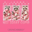 V26 - Not Today Cupid x3 Racoons Crunchberry_Blank.webp