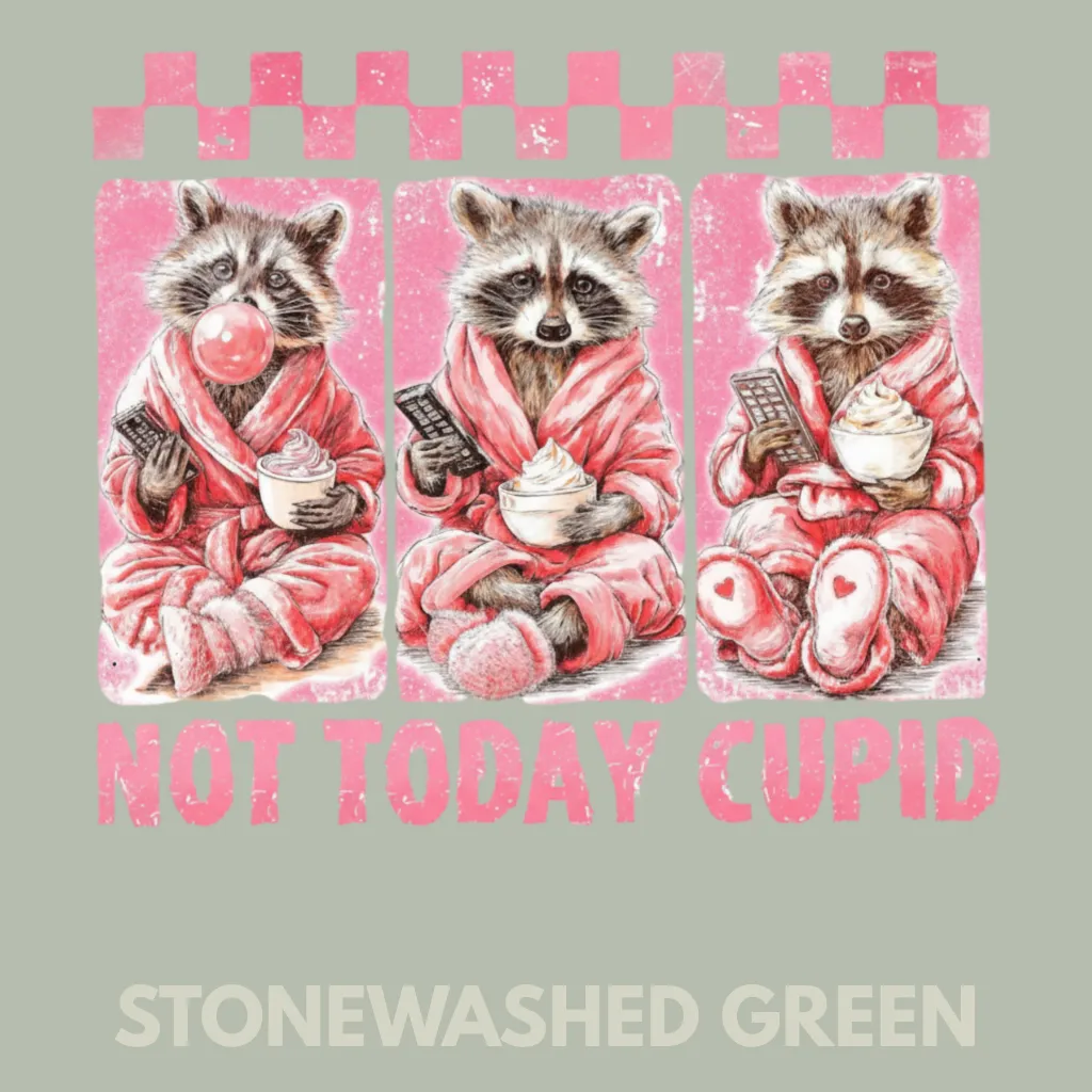 V26 - Not Today Cupid x3 Racoons StonewashedGreen_Blank.webp