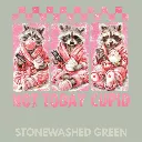 V26 - Not Today Cupid x3 Racoons StonewashedGreen_Blank.webp