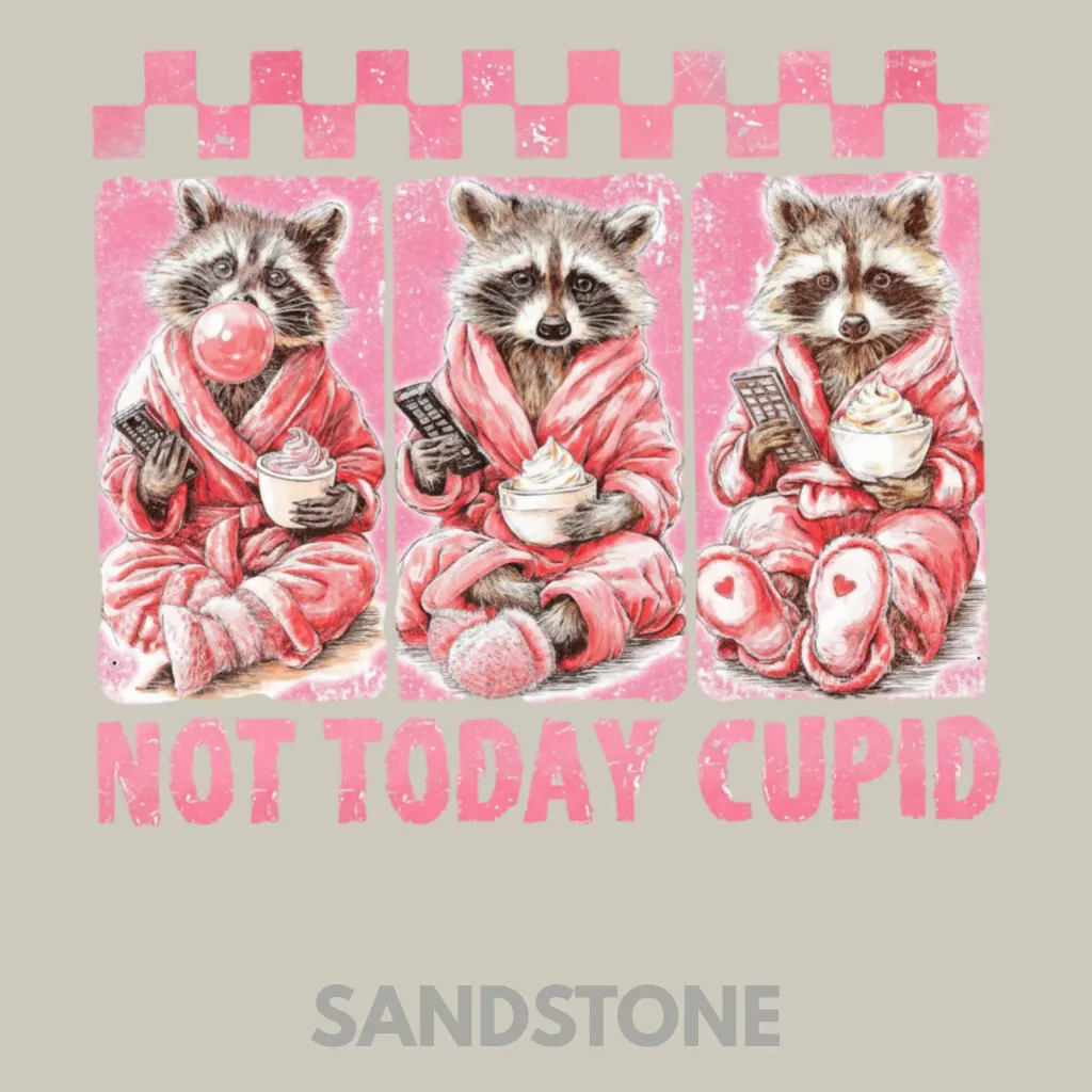 V26 - Not Today Cupid x3 Racoons Sandstone_Blank.webp