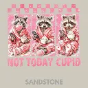 V26 - Not Today Cupid x3 Racoons Sandstone_Blank.webp