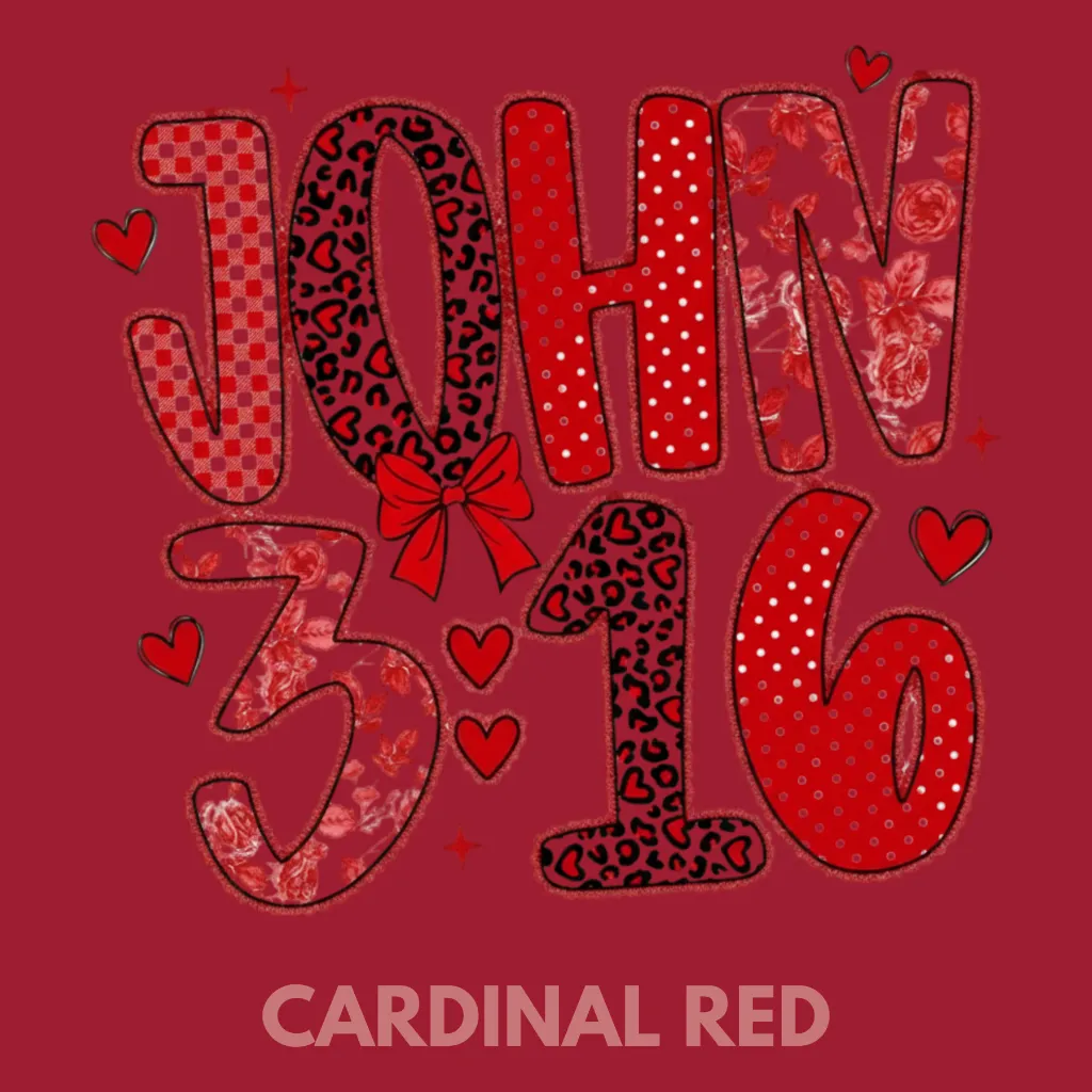 V31 - John 3.16 Red Applique Cardinal_Blank.webp