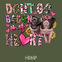 V35 - Don't go Bacon My Heart Hemp_Blank.webp