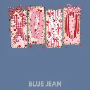 V40 - XOXO Patchwork quarters BlueJean_Blank.webp